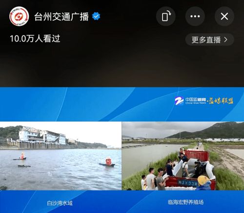 刚刚全部救上岸 已有2只鲸豚运抵台州海洋世界 视频